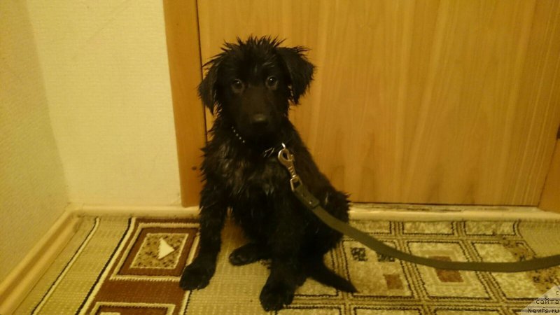 Фотография № 194718