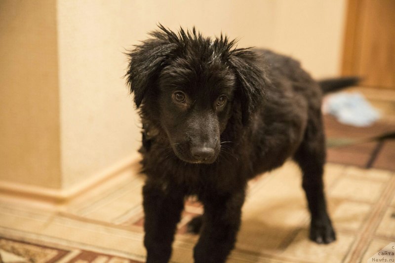 Фотография № 194719