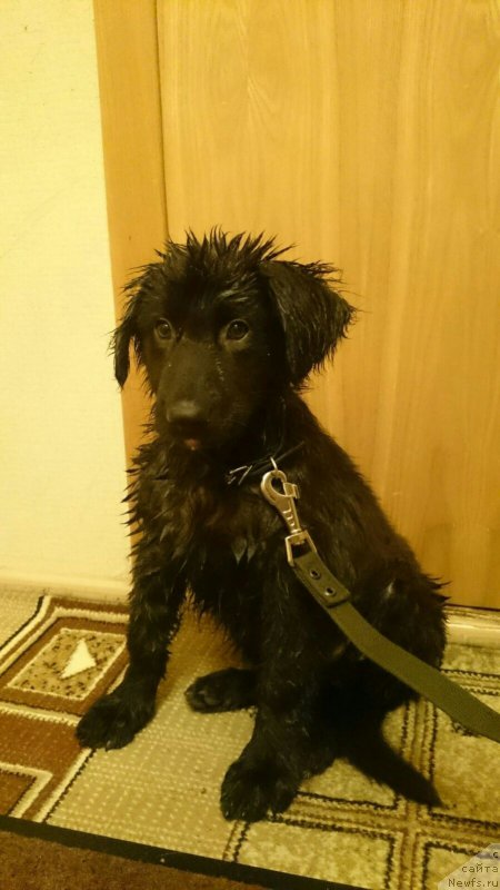 Фотография № 194721