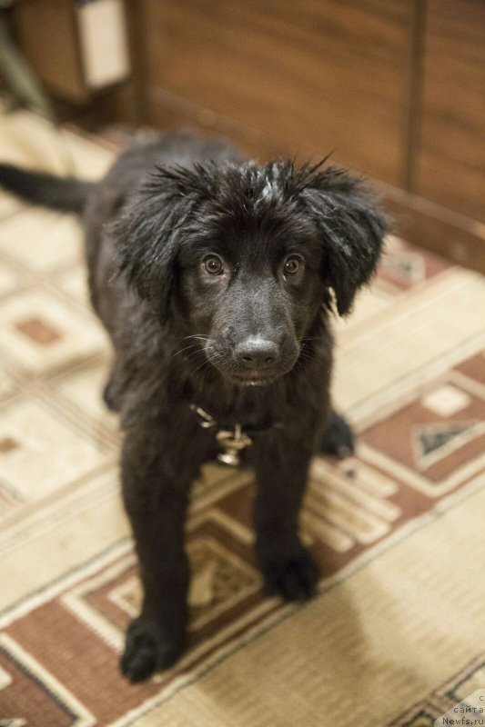 Фотография № 194722