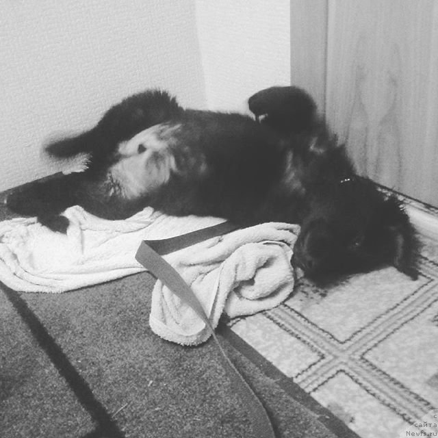 Фотография № 194723