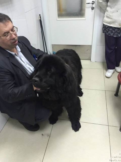 Фотография № 194725