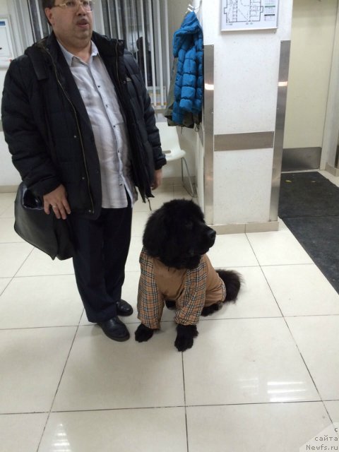 Фотография № 194726