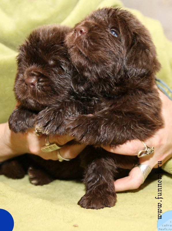 Фотография № 194743