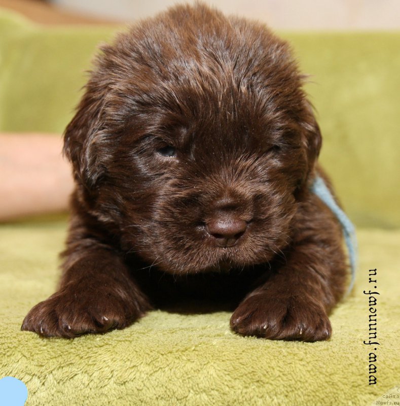 Фотография № 194744