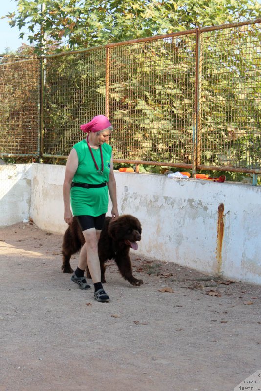 Фото: Анастасия Киселева