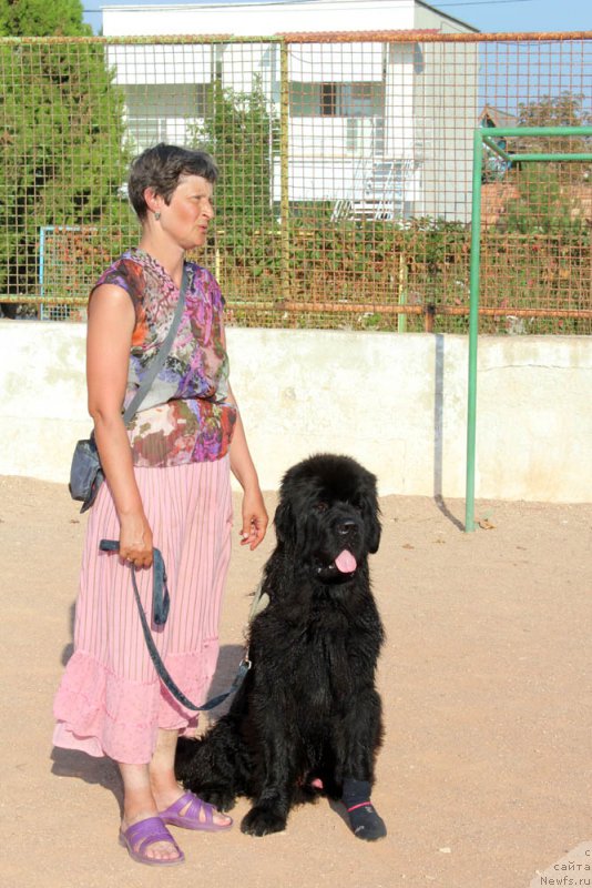 Фотография № 194767