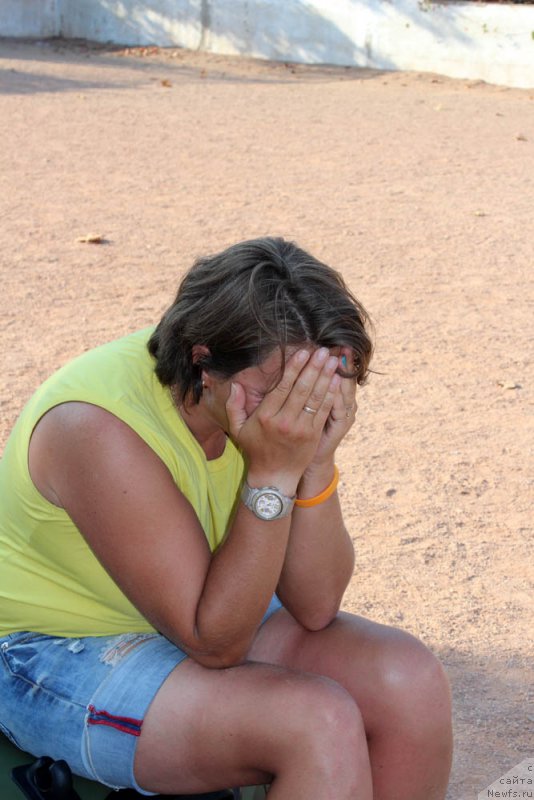 Фотография № 194772