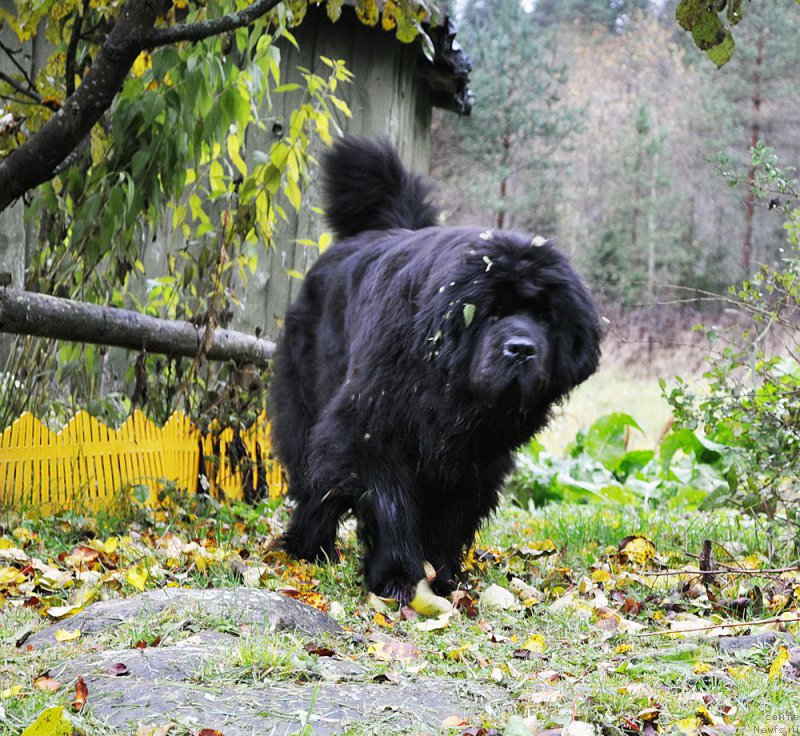 Фотография № 194808