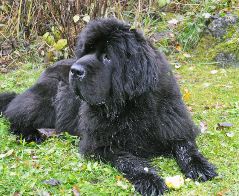 Фотография № 194810