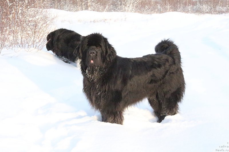 Фотография № 194812