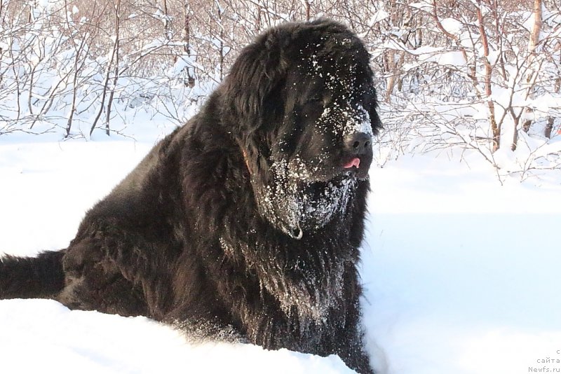 Фотография № 194813