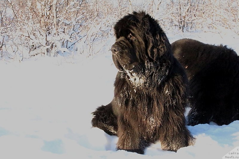 Фотография № 194814