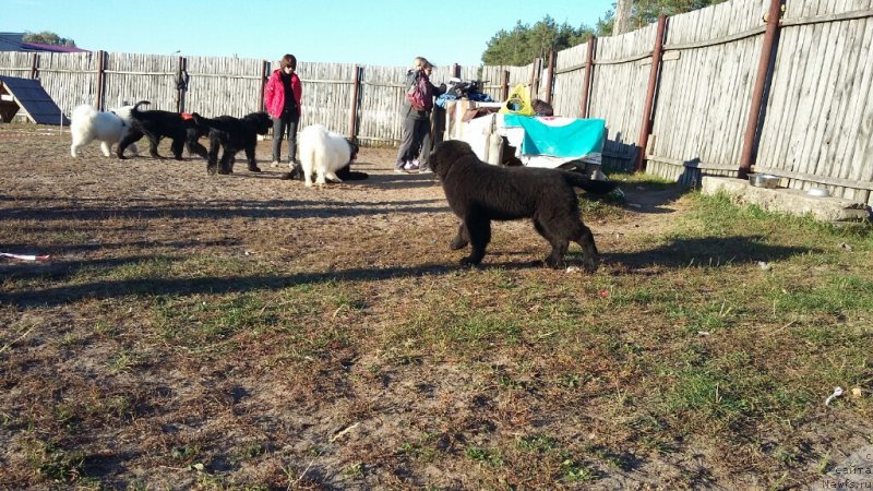 Фотография № 194835