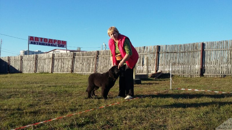 Фотография № 194836