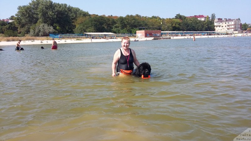 Фотография № 194841