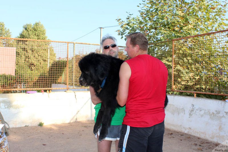 Фотография № 194858