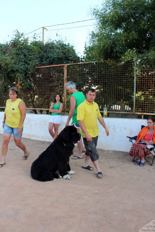 Фотография № 194861