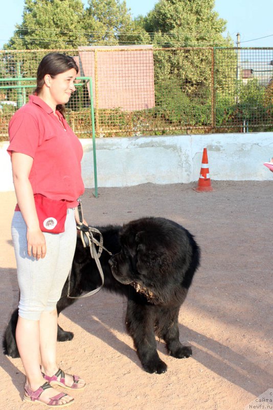 Фотография № 194865