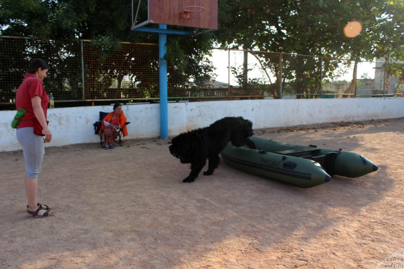 Фотография № 194867