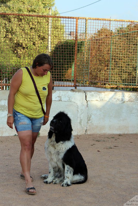 Фотография № 194871