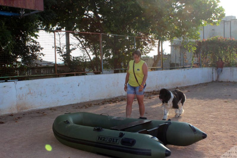 Фотография № 194873