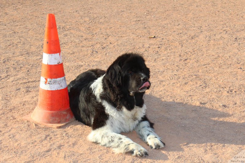 Фотография № 194874