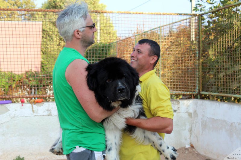 Фотография № 194875