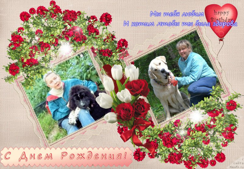 Фотография № 194896