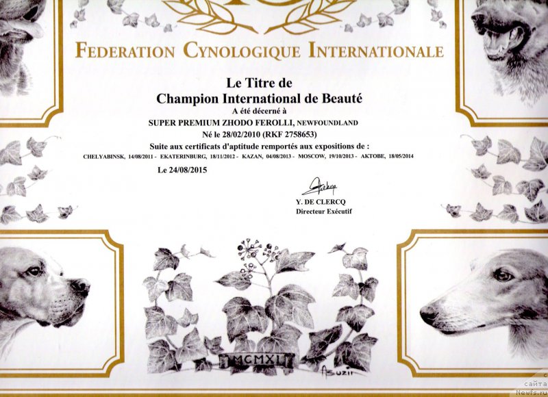 Фото: ньюфаундленд Супер Премиум Жодо Феролли (Super Premium Zhodo Ferolli)