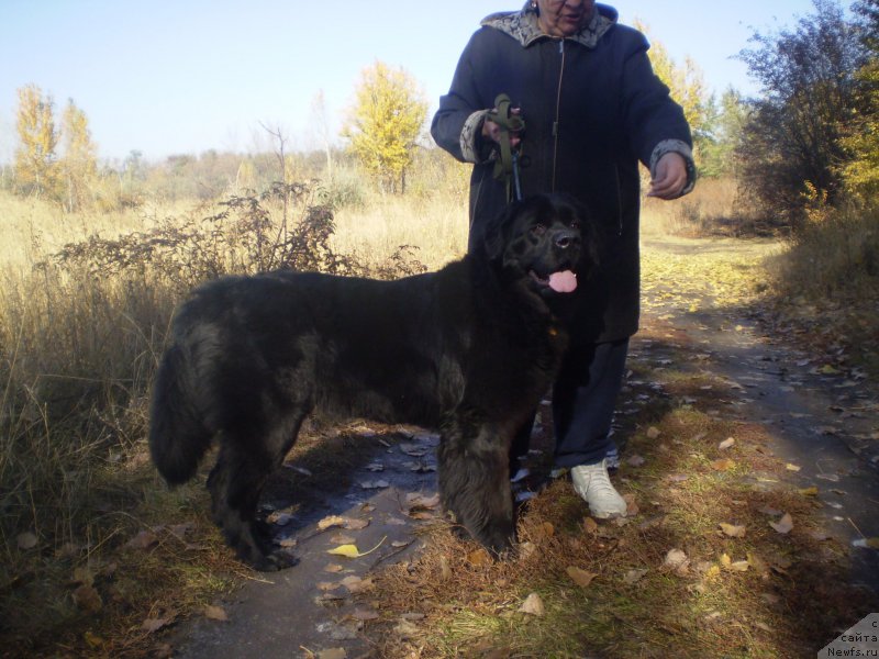 Фото: Игорь Гречишкин