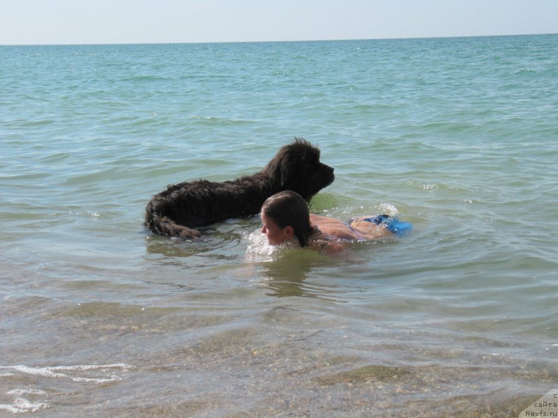 Фотография № 194990