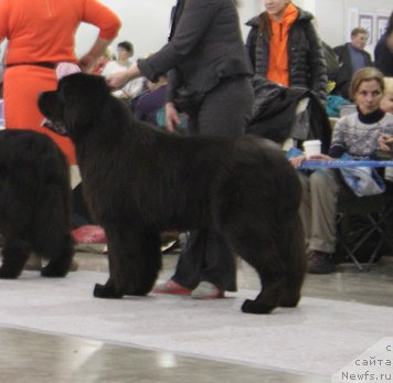 Фотография № 194991