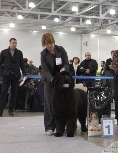 Фотография № 194992