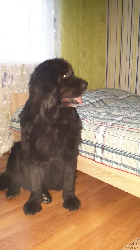 Фотография № 194999