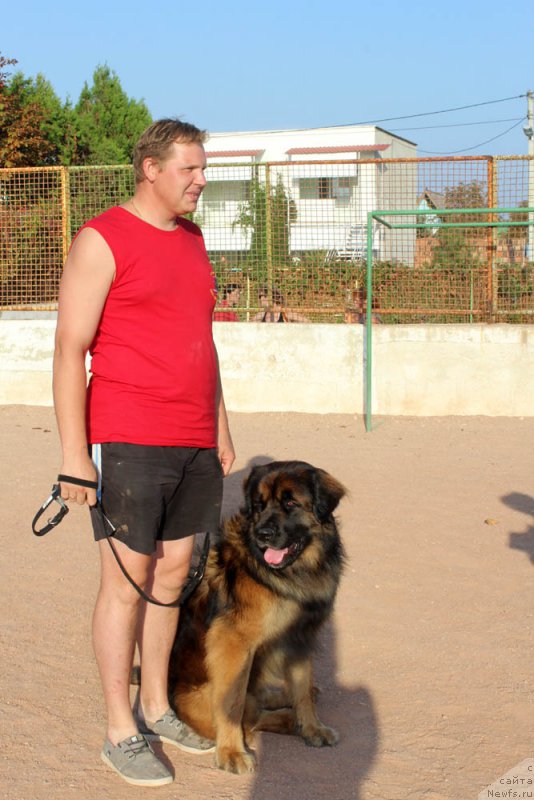 Фотография № 195000