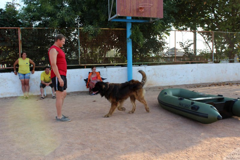 Фотография № 195003