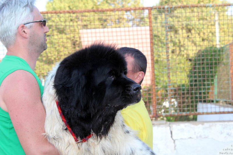 Фотография № 195007