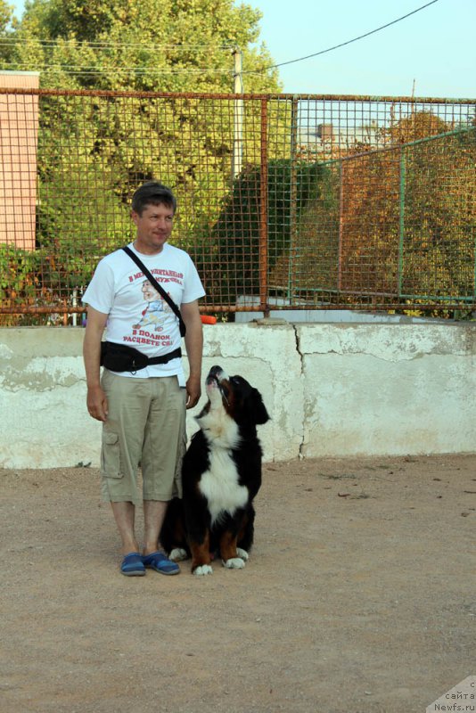 Фотография № 195009