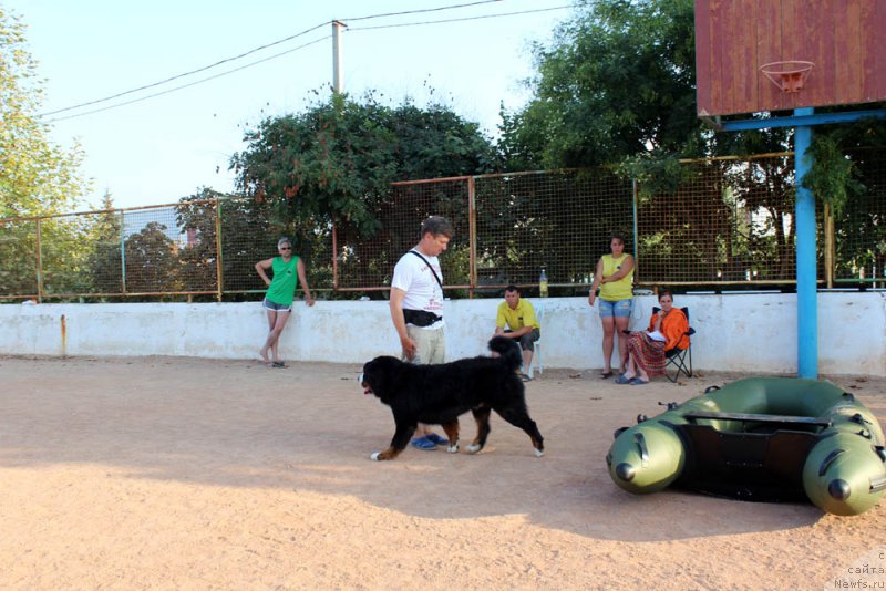 Фотография № 195011