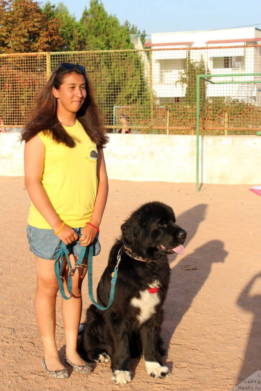 Фотография № 195014