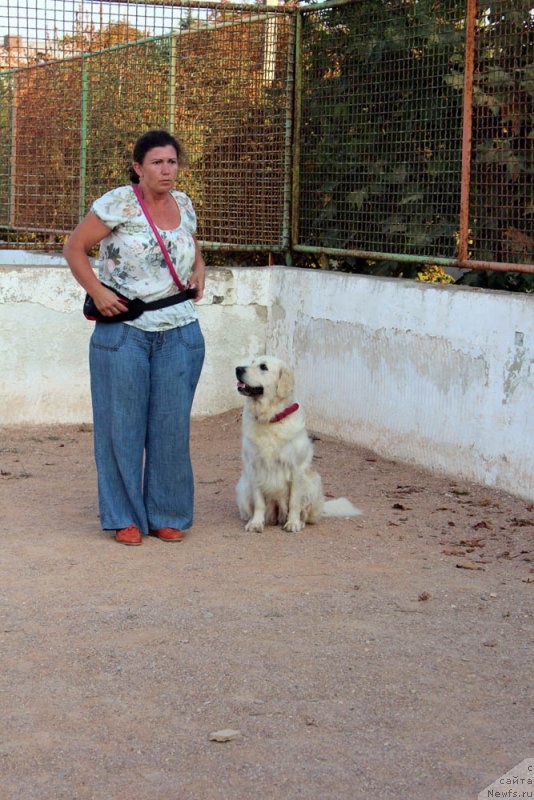 Фотография № 195016