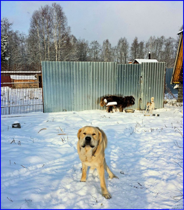 Фотография № 195032