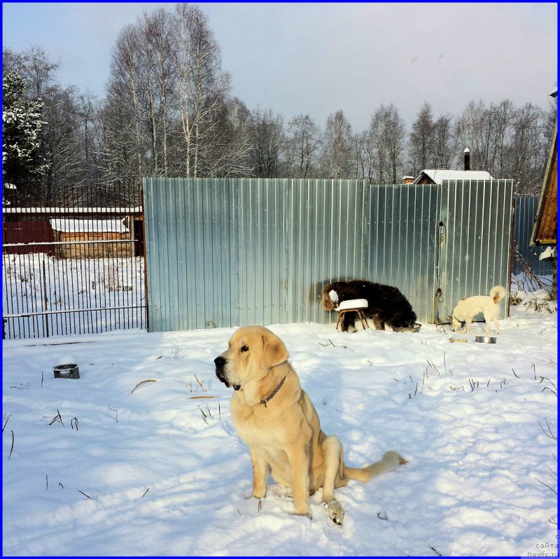 Фотография № 195033