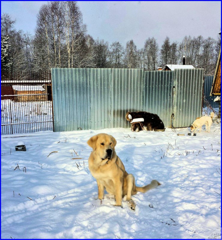 Фото: Лена Зырина