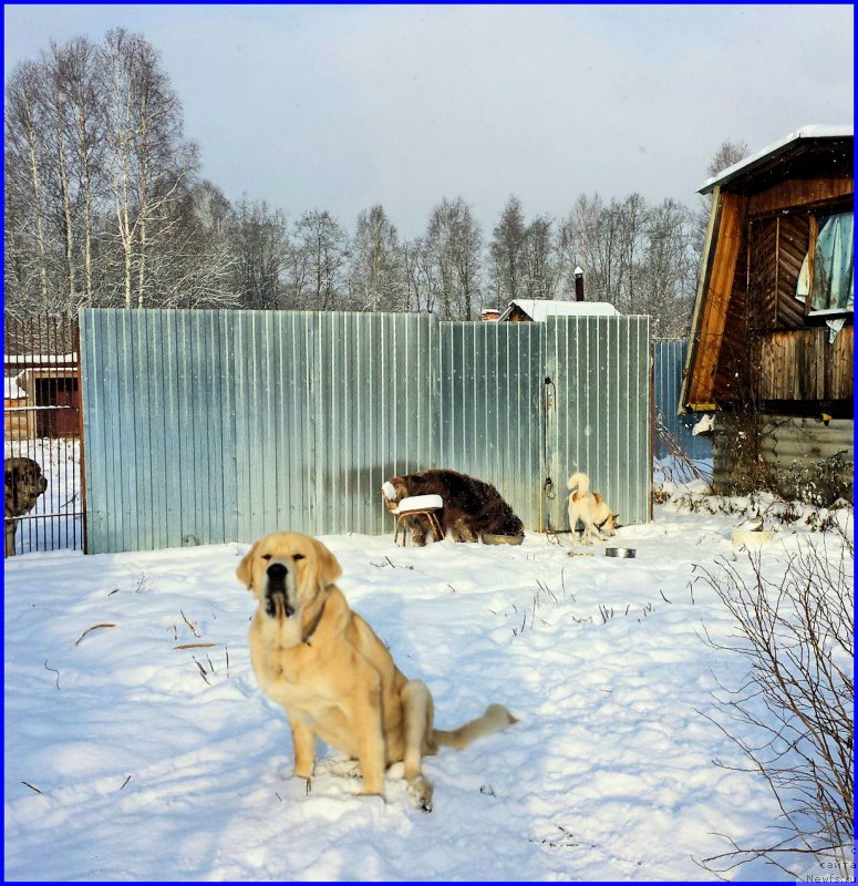 Фотография № 195035