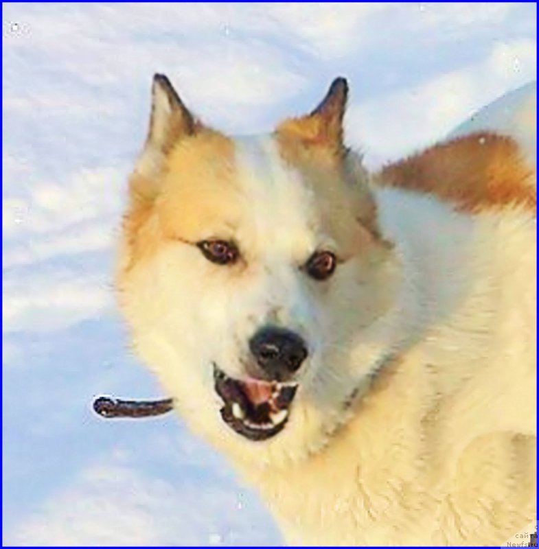 Фотография № 195051