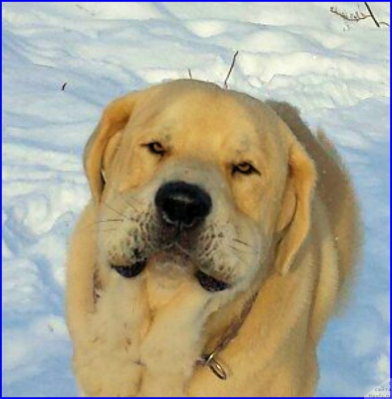 Фотография № 195055