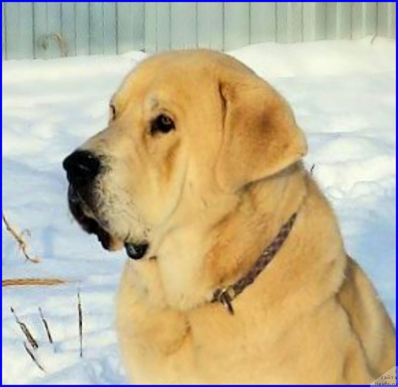 Фотография № 195056