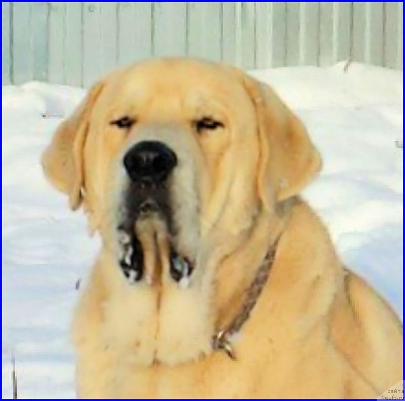 Фотография № 195057